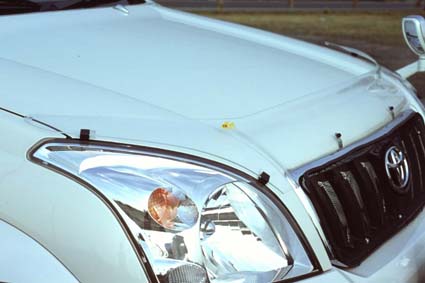 �t�����g�v���e�N�^�[�@�����N���P�Q�O�v���h�p